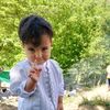 hamdardrafi1986