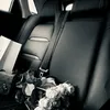 lololoshka9622