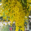 yaowarat.reiser