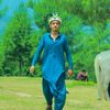 alamgir.khan5280