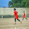 dibb734