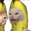 abadhalla