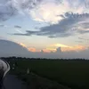 nghoang.anh0521