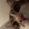 user136057637144