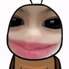 hchhcncn