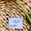 lola_rajab