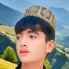 arman.gulli1122