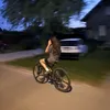lena_vujicc1