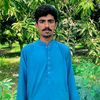 mkali353