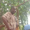 gastonmuhwezi805