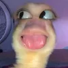 goodmorningyall4