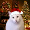 .mmeowskiii