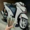dangtruongduy71
