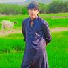 mudasirkham53