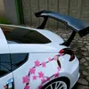 wxvy.forza