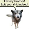 woof0198