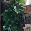 minh.kiu53