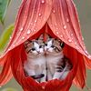 lybovlybov_777