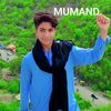 zohaib.khan8835