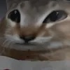 str3sst1m3