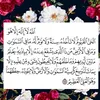 asmam146