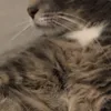 badkarmamonster1