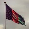 tytpanjshiri13