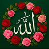 user7084339812834