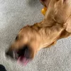 fromouge