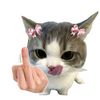nyyxyy_xyyeraa