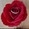 user26801331238114