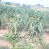 user87770381202531