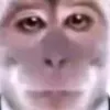 chiken_jokey_