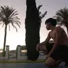 soy_thealex