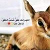 tn.mzwn