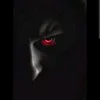shazaib.malik1080