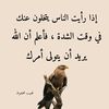 user6080861744171