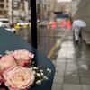manel_m021