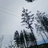 lolazo_412