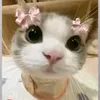 betl_307
