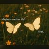 meembutterfly0