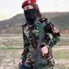 Sipal_barzanii11