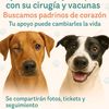 elrefugiodelaesperanza