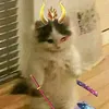 meow.cak