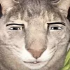 lolipopnevi