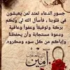 smail4301