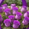 hade__43211234