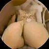 madelain_n