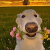 manuela.beatriz62