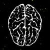 cerebrum556